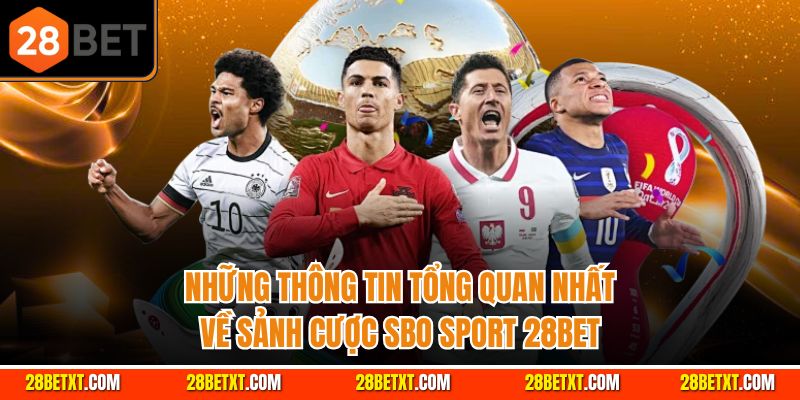 Những thông tin tổng quan nhất về sảnh cược SBO Sport 28bet
